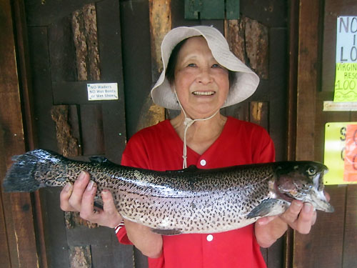 Heidi Higaki